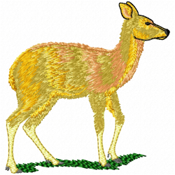 Gazelle Embroidery Design 10 Gazelle Embroidery Design 10